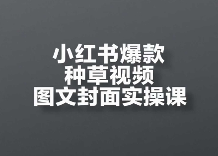 小红书爆款种草视频图文封面实操课，​开店、选品、引流、变现全流程-玩备项目资源网