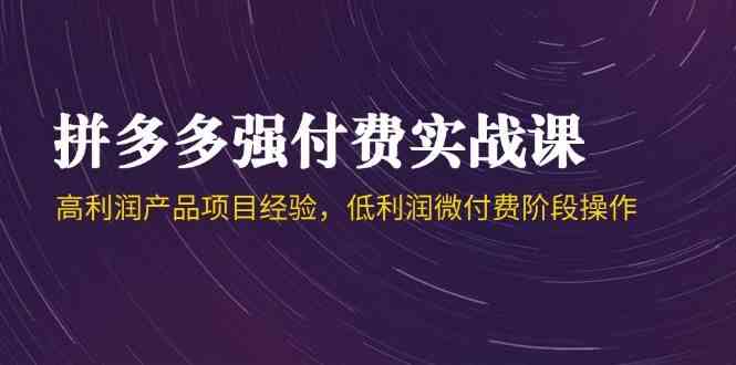 拼多多强付费实战课-44期，高利润产品项目经验，低利润微付费阶段操作-玩备项目资源网