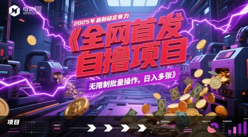 全网首发，2025年最新稳定暴力全自动自撸项目，无限制批量操作，日入多张【揭秘】-玩备项目资源网