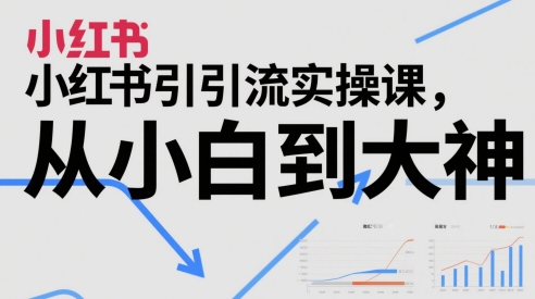 小红书引流实操课，从小白到大神-玩备项目资源网