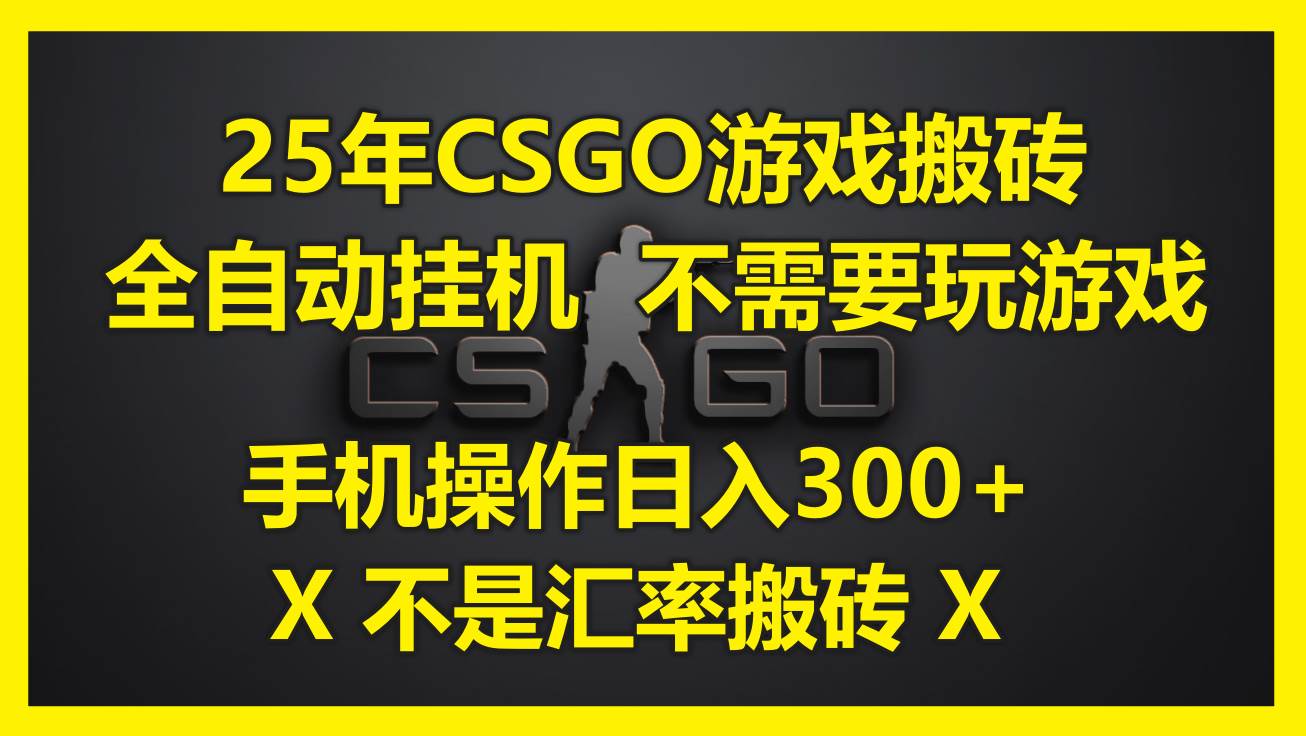 （14902期）25年CSGO游戏搬砖，全自动挂机，不需要玩游戏，手机操作日入300+。(不…-玩备项目资源网