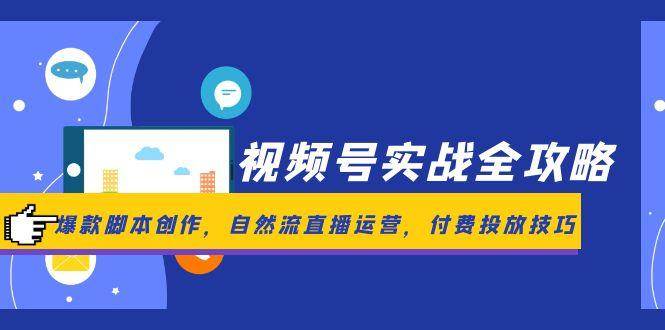 视频号实战全攻略，爆款脚本创作，自然流直播运营，付费投放技巧-玩备项目资源网