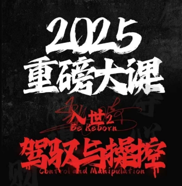 2025重磅大课，入世2，驾驭与控制-玩备项目资源网