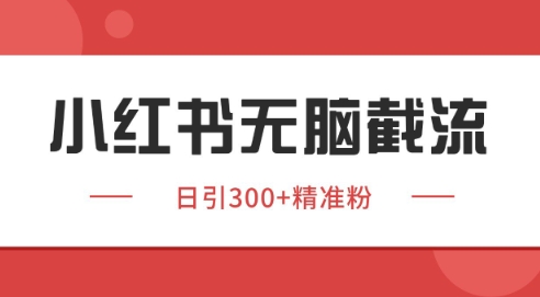 小红书截流同行客源，独家野路子获客玩法 日引200+暴力获客【揭秘】-玩备项目资源网