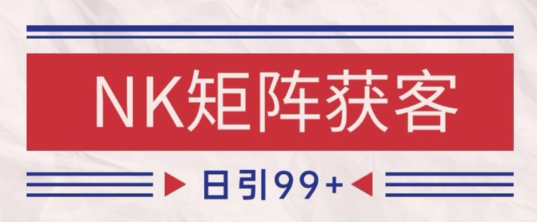 小红书某音NK赛道引流获客 自热矩阵日引200+【揭秘】-玩备项目资源网