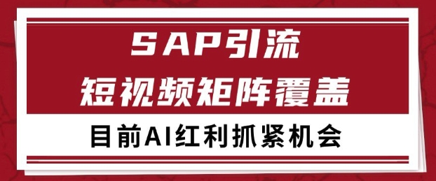 小红书某音sap赛道引流获客 自热矩阵日引200+【揭秘】-玩备项目资源网