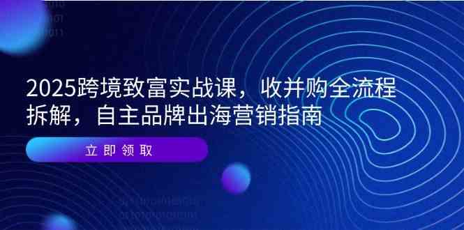 2025跨境致富实战课，收并购全流程拆解，自主品牌出海营销指南-玩备项目资源网