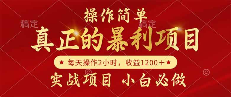 （14978期）真正的暴利项目，操作简单，每天收益1200＋，自己做老板-玩备项目资源网