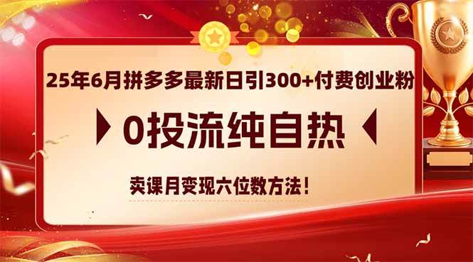 （14989期）25年6月拼多多最新日引300+付费创业粉，0投流纯自热 卖课月变现六位数方法-玩备项目资源网