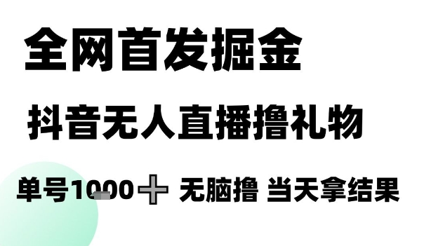 全网首发掘金抖音无人直播撸礼物，单号1k +无脑撸，当天拿结果【揭秘】-玩备项目资源网