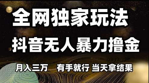 全网独家玩法抖音无人暴力撸金，月入3W，有手就行，当天拿结果【揭秘】-玩备项目资源网