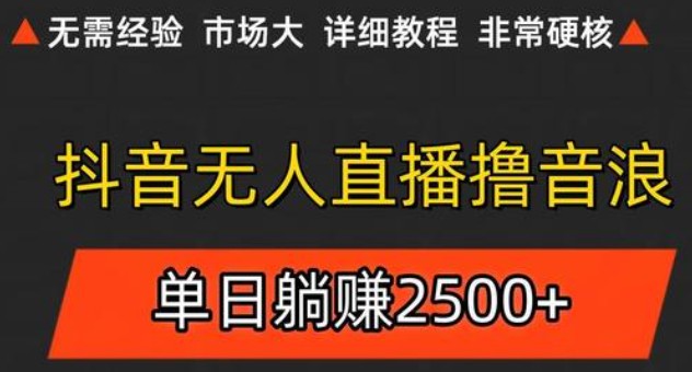 抖音无人直播6.0 简单无脑可矩阵 每天两小时轻松躺赚500+-玩备项目资源网