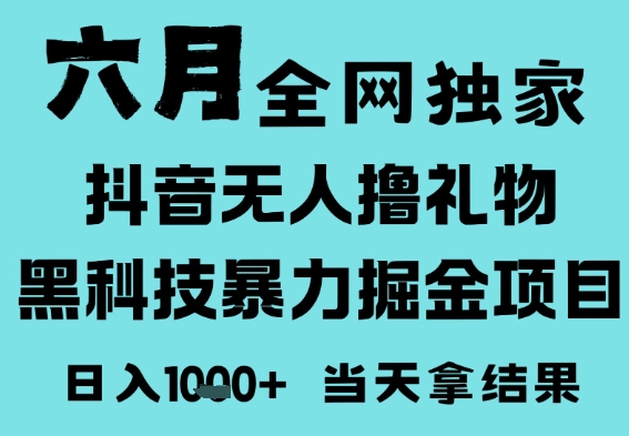 25年6月高爆抖音无人直播最新撸音浪掘金项目，门槛低小白可做，无脑日入1k，可矩阵放大【揭秘】-玩备项目资源网
