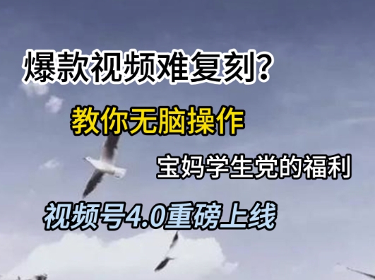 视频号4.0重磅上线，爆款视频难复刻？教你无脑操作宝妈学生党的福利【揭秘】-玩备项目资源网