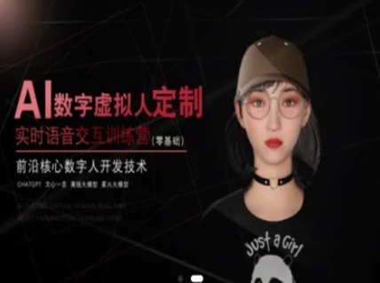 AI数字虚拟人定制，实时语音交互训练营（零基础），前沿核心数字人开发技术-玩备项目资源网
