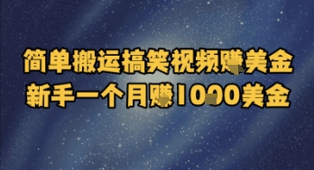 简单搬运搞笑视频挣美金，新手一个月入1k美金-玩备项目资源网