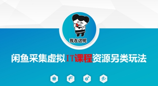 闲鱼采集虚拟IT课程资源另类玩法，干货满满-玩备项目资源网