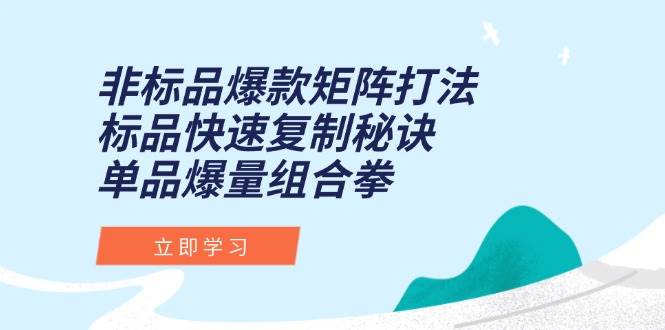 （15068期）非标品爆款矩阵打法，标品快速复制秘诀，单品爆量组合拳-玩备项目资源网