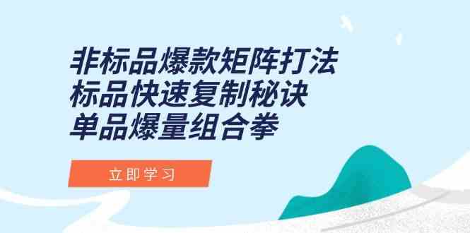 非标品爆款矩阵打法，标品快速复制秘诀，单品爆量组合拳-玩备项目资源网