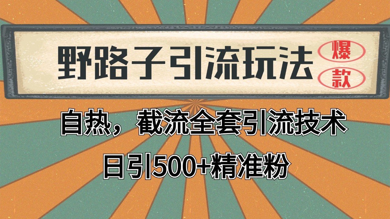 2024首发野路子引流玩法截流自热全平台打法，全自动引流【日引2000+精准客户】-玩备项目资源网