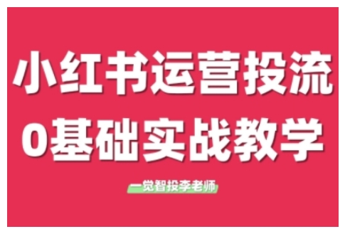 小红书运营投流，小红书广告投放从0到1的实战课，学完即可开始投放（更新）-玩备项目资源网