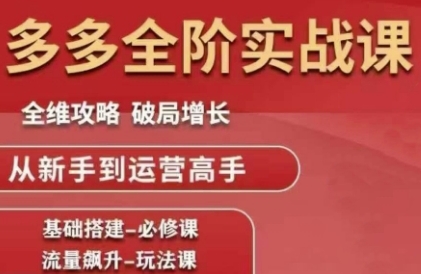 拼多多全阶实战课程，全维攻略，破局增长，从新手到运营高手-玩备项目资源网