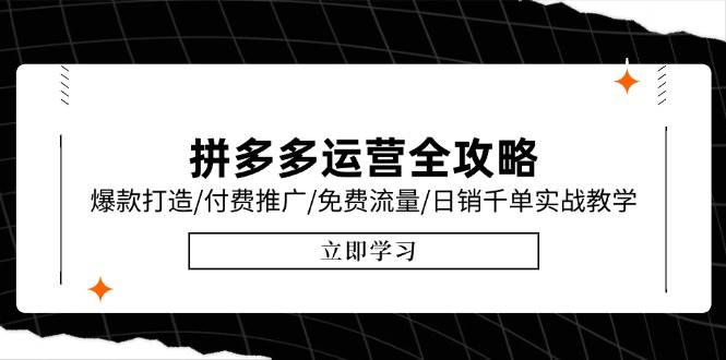 （15085期）拼多多运营全攻略，爆款打造/付费推广/免费流量/日销千单实战教学/6月更新-玩备项目资源网