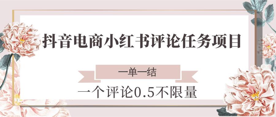 抖音电商小红书评论任务项目，一个评论0.5，一单一结 不限量-玩备项目资源网