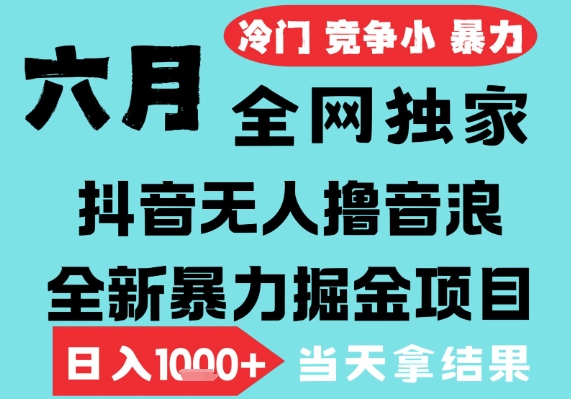 2025年6月高爆抖音无人直播最新撸音浪掘金项目，无脑日入1k+，低门槛小白可做，可矩阵放大【揭秘】-玩备项目资源网