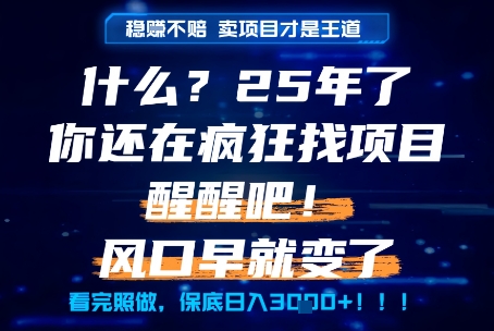 什么？25年你还在疯狂找项目做，醒醒吧，看完这些你全都懂了！【揭秘】-玩备项目资源网