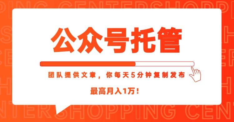 （15109期）【公众号托管 】我提供文章，你每天５分钟复制发布，最高月入1W-玩备项目资源网