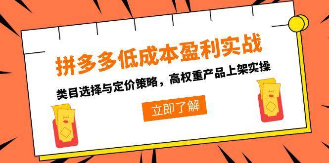 （15143期）拼多多低成本盈利实战，类目选择与定价策略，高权重产品上架实操-玩备项目资源网