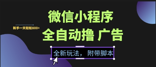 微信小程序全自动撸广告项目，彻底解决没流量的问题，新手一天8张+【揭秘】-玩备项目资源网