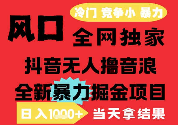 25年6月高爆抖音无人直播最新撸音浪掘金项目，解放双手小白可做，无脑日入1k+，门槛低【揭秘】-玩备项目资源网