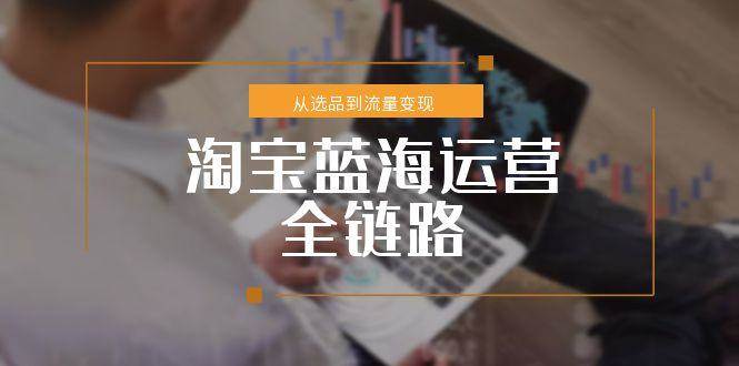 （15160期）淘宝蓝海运营全链路，从选品到流量变现，小类目突围完整方案-玩备项目资源网