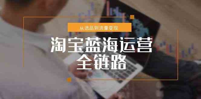 淘宝蓝海运营全链路，从选品到流量变现，小类目突围完整方案-玩备项目资源网