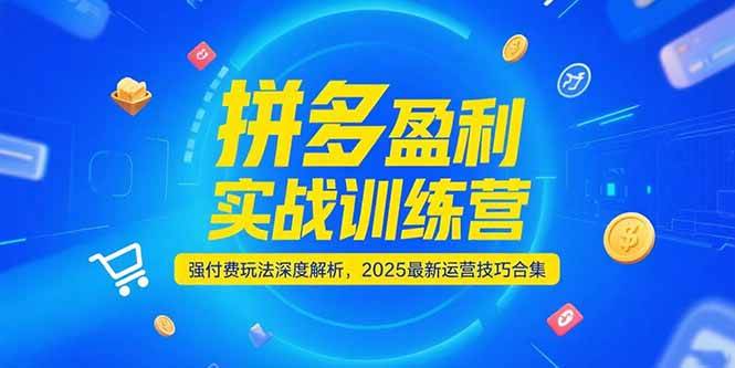 （15183期）拼多多盈利实战训练营，强付费玩法深度解析，2025最新运营技巧合集-玩备项目资源网