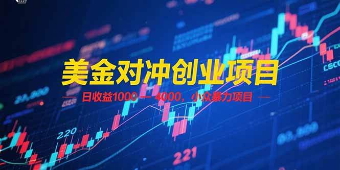 （15187期）美金对冲创业项目，日收益 1000 – 4000，小众暴力项目-玩备项目资源网
