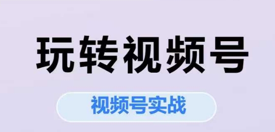 玩转视频号，视频号实战系列课-玩备项目资源网