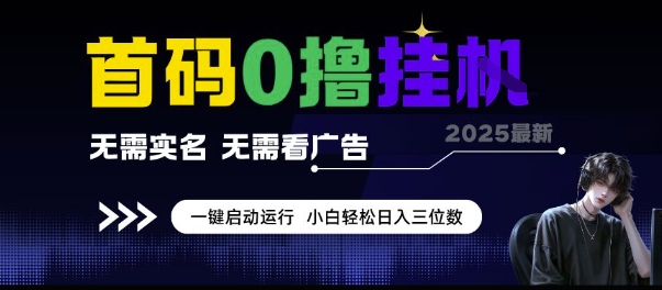 首码0撸挂G项目，无需实名无需看广告 一键启动运行，小白轻松日入三位数【揭秘】-玩备项目资源网