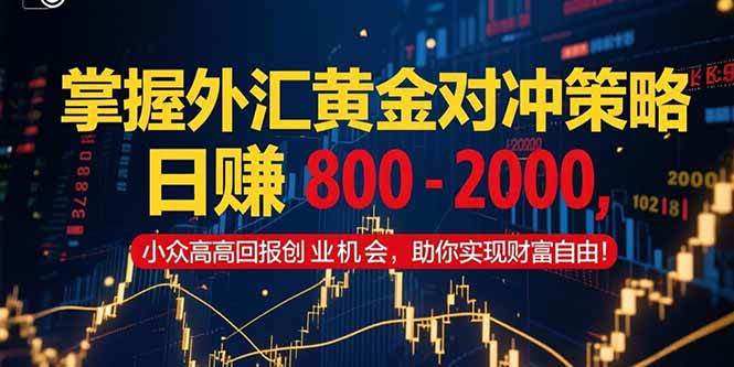 （15198期）掌握外汇黄金对冲策略，日赚 800 – 2000，小众高回报创业机会，助你实…-玩备项目资源网