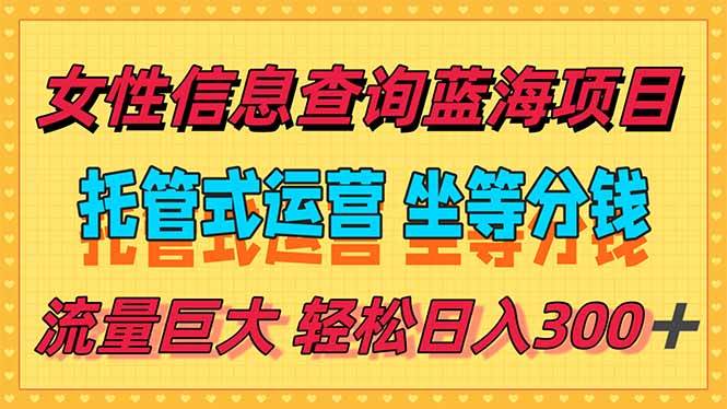 （15216期）稳定日入300＋，小众信息查询蓝海项目，全程懒人式托管，解放你的时间-玩备项目资源网