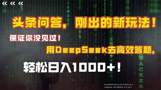 （15217期）头条问答，刚出的新玩法！保证你没见过！结合Deepseek高效答题，日入1000+-玩备项目资源网