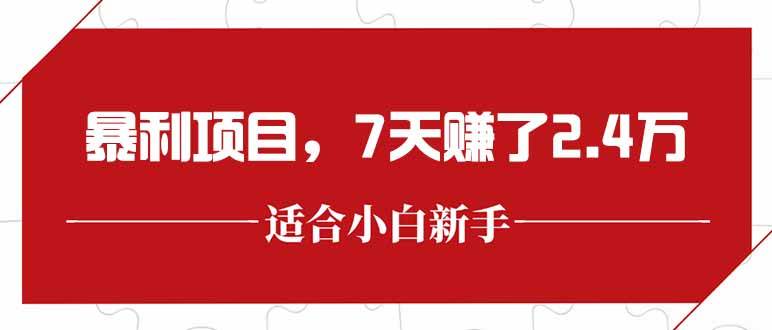 （15228期）最新暴利项目，每单收益轻松在300以上，7天赚了2.4万-玩备项目资源网
