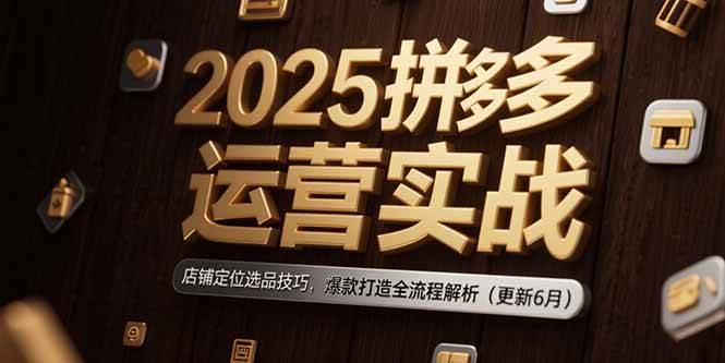 （15235期）2025拼多多运营实战：店铺定位选品技巧，爆款打造全流程解析（更新6月）-玩备项目资源网