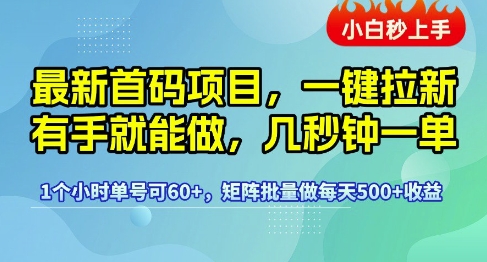 最新首码项目，一键拉新有手就能做，几秒钟一单，1个小时单号可60+，矩阵批量做每天5张【揭秘】-玩备项目资源网