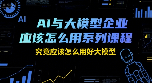 AI与大模型企业应该怎么用系列课程，究竟应该怎么用好大模型-玩备项目资源网