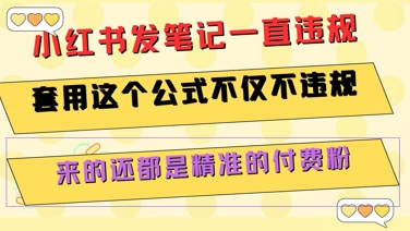 小红书发笔记一直违规，套用这个公式不仅不违规，来的还都是精准的付费粉-玩备项目资源网