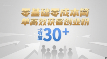 零基础零成本简单高效获客创业粉，一天引流30+-玩备项目资源网