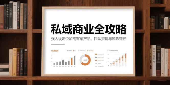 （15294期）私域商业全攻略，强人设定位加高客单产品，团队搭建与风险管控-玩备项目资源网